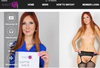 the nicest membership porn website if you're up for awesome adult scenes